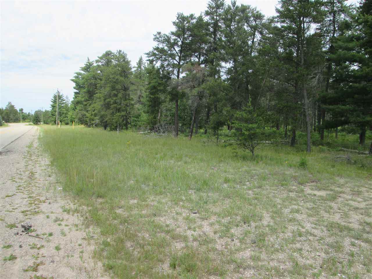 6287 Fletcher Road Southeast Fife Lake, MI 49633 - Photo 7 of 29 1803707-6.JPG