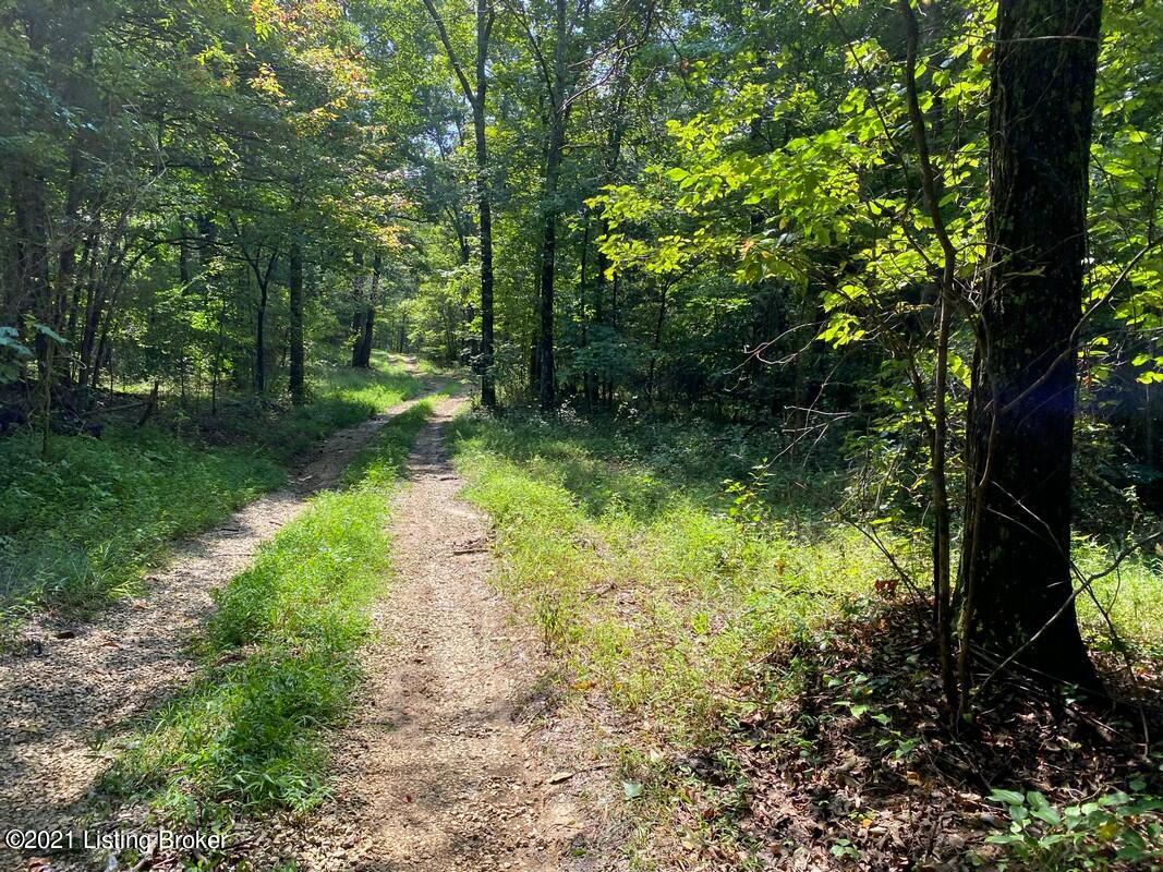 Lot 6-0 Wax Road Clarkson, KY 42726 - Photo 7 of 8 Logsdon Acres North Farm6