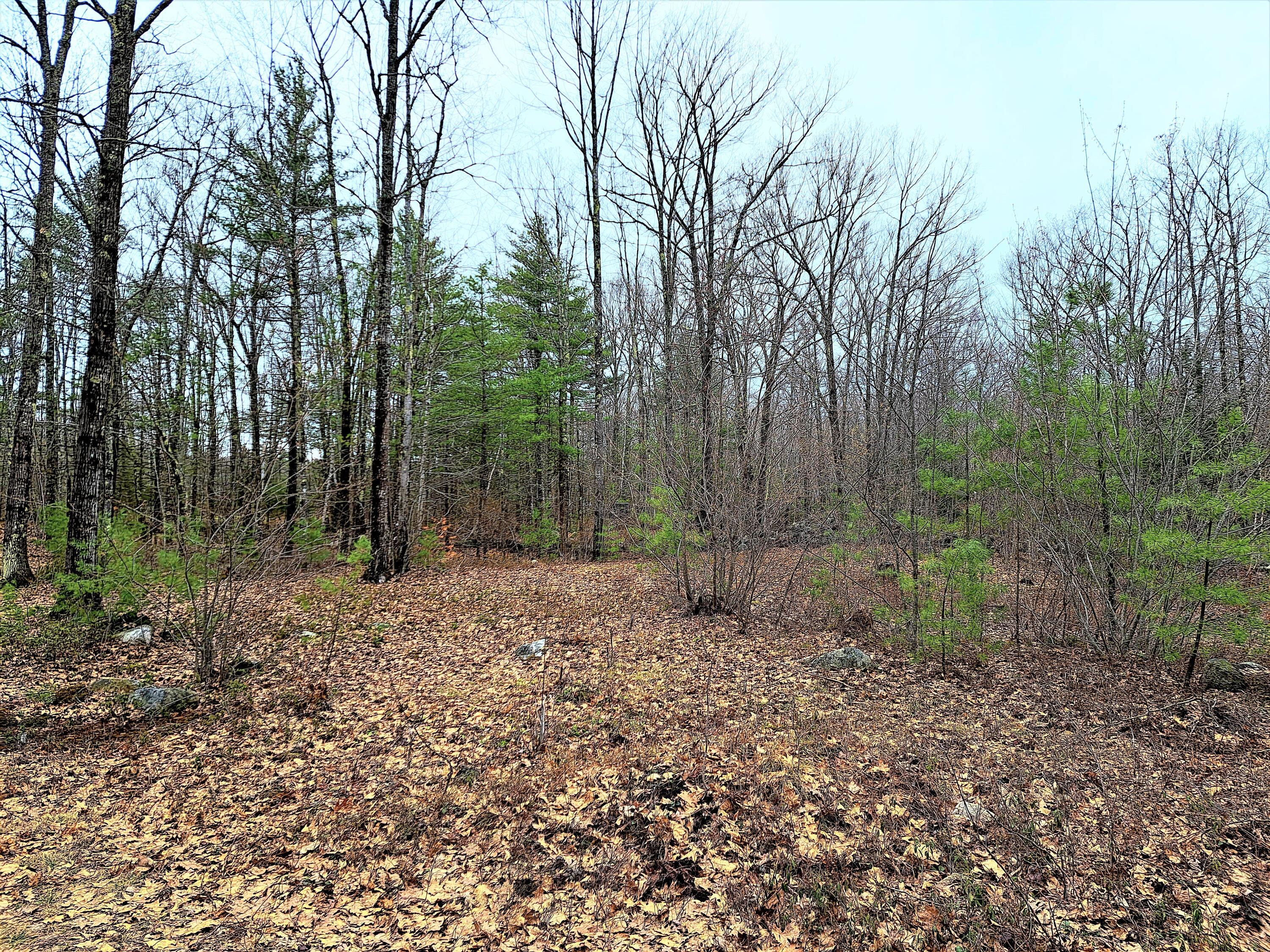 Lot 61-4 Olde Farnham Road Alfred, ME 04002 - Photo 8 of 8 Broman pic 6