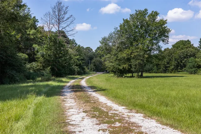 a view of a yard with a tree