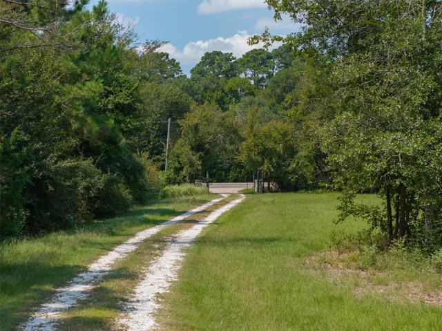 a front view of house with yard and trees