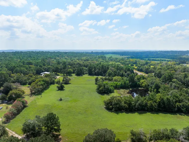a view of a bunch of trees in a field