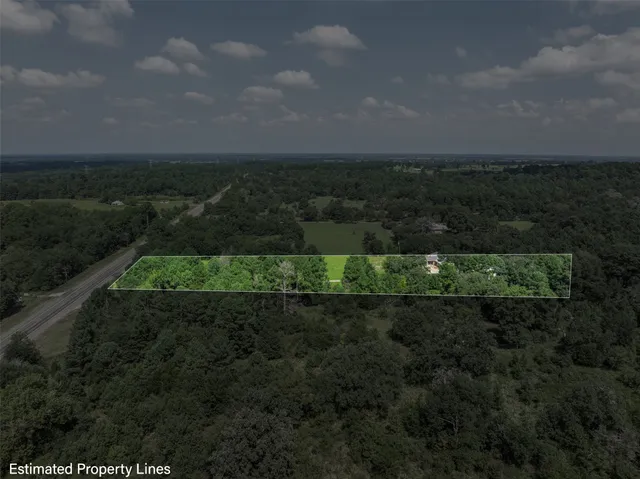 a view of a bunch of trees in a field