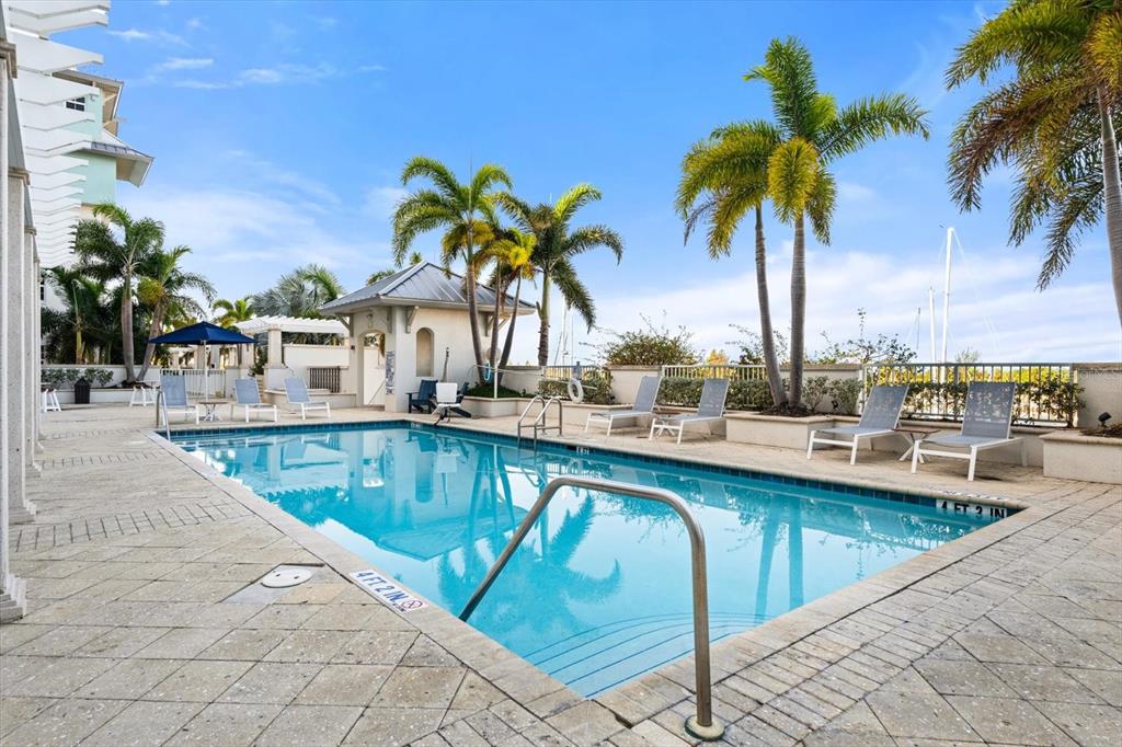 536 Bahia Beach Boulevard, Unit 222B Ruskin, FL 33570 - Photo 19 of 31 a view of a swimming pool with a lawn chairs under palm trees