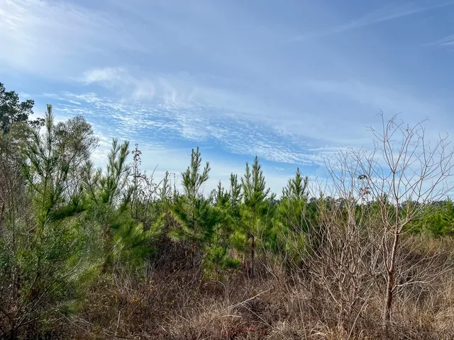 a view of a yard in a field