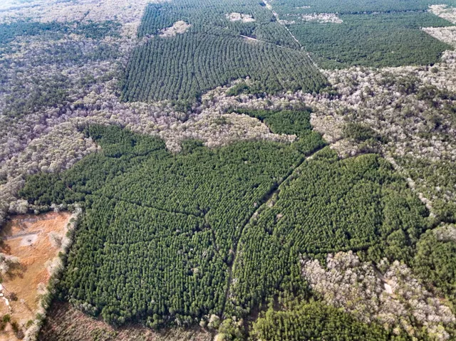 $553,000 | T-6 T-6 Tall Cotton Road, Saratoga, TX 77585