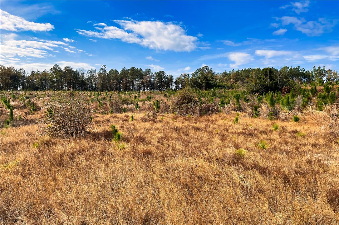 0 George Freeman Road Patrick, SC 29584 - Photo 16 of 23