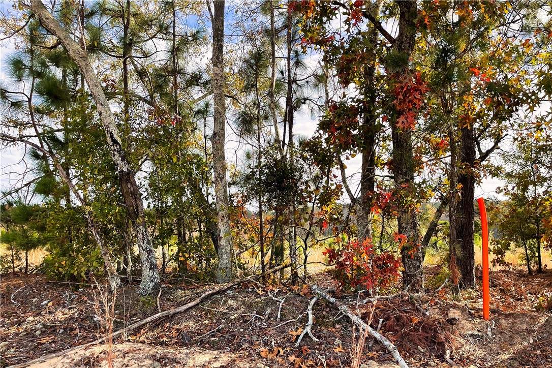 0 George Freeman Road Patrick, SC 29584 - Photo 19 of 23