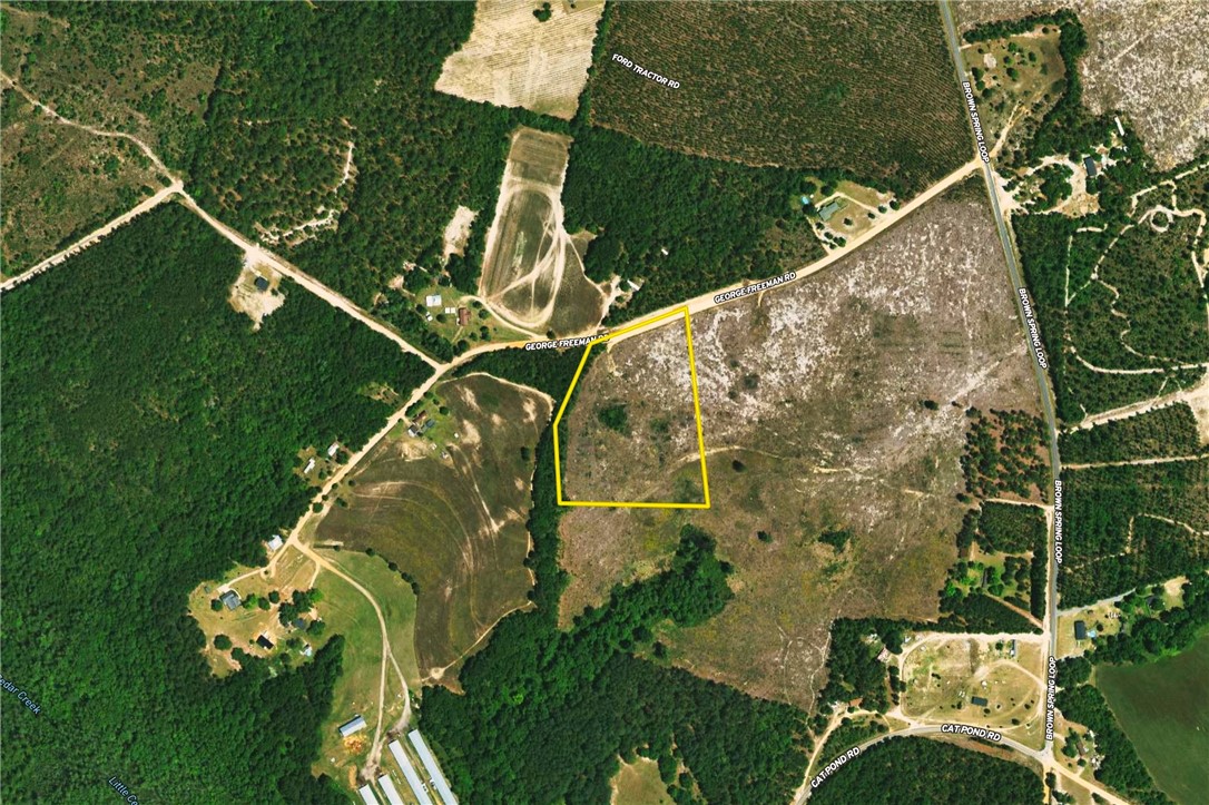 0 George Freeman Road Patrick, SC 29584 - Photo 21 of 23