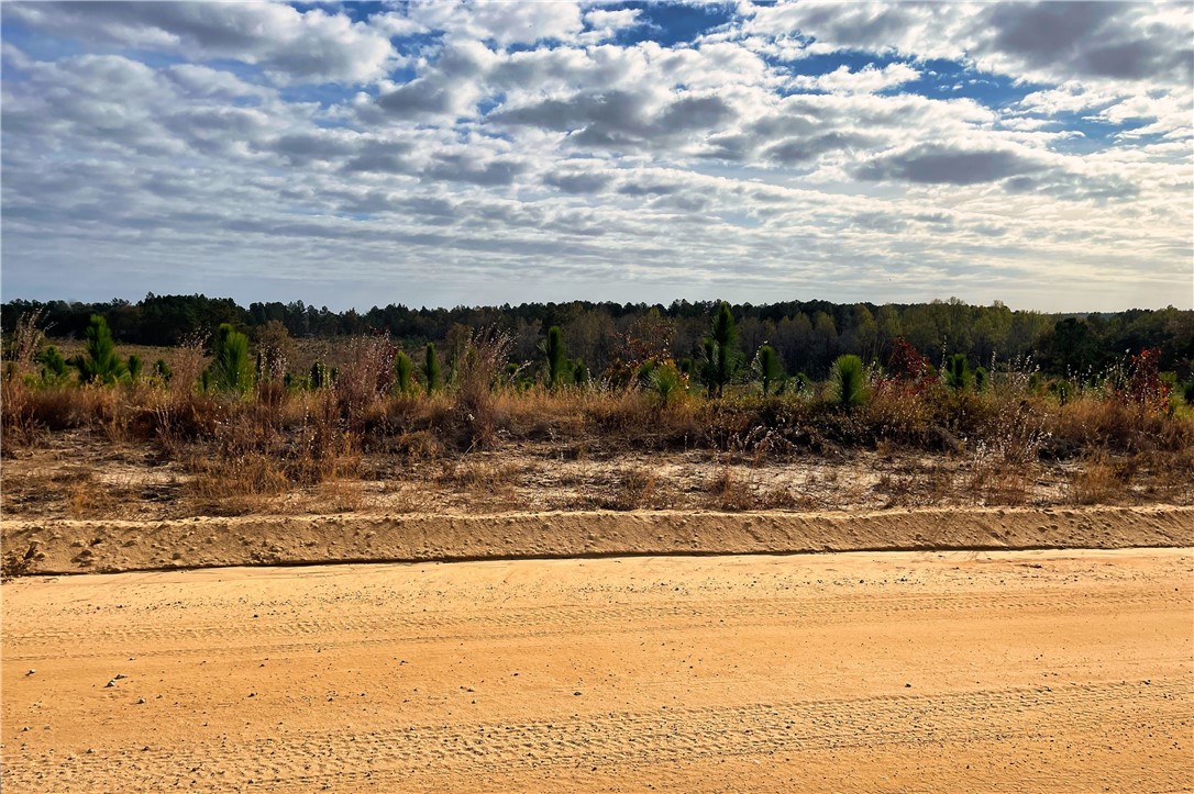 0 George Freeman Road Patrick, SC 29584 - Photo 3 of 23