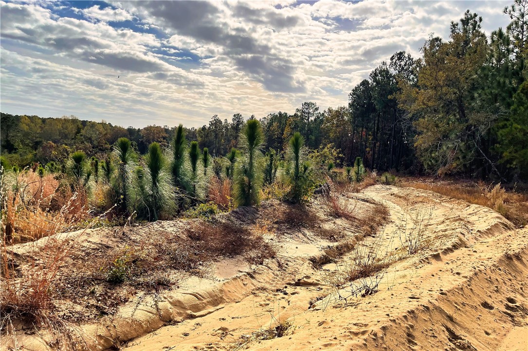 0 George Freeman Road Patrick, SC 29584 - Photo 4 of 23