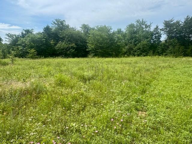 37 Red Bird Lane Colbert, OK 74733 - Photo 6 of 13