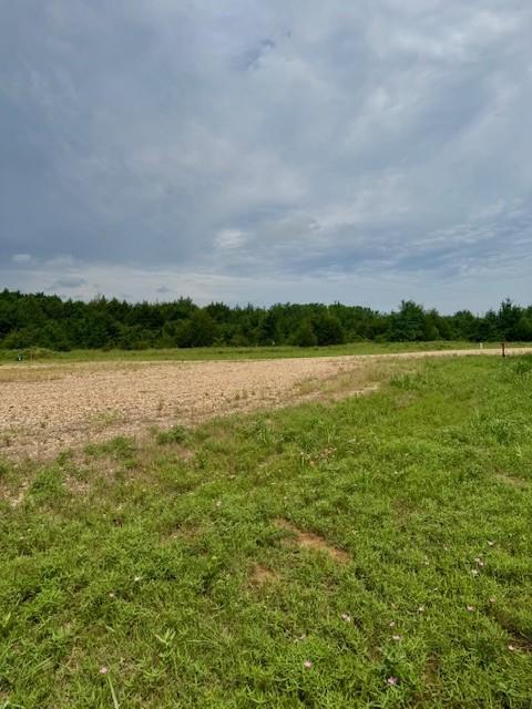 37 Red Bird Lane Colbert, OK 74733 - Photo 7 of 13