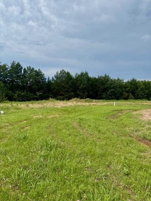 37 Red Bird Lane Colbert, OK 74733 - Photo 8 of 13