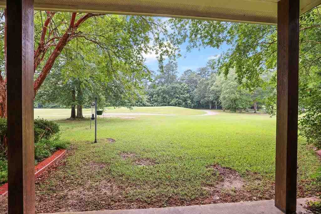 23847 Monarch Point Springfield, LA 70462 - Photo 3 of 24