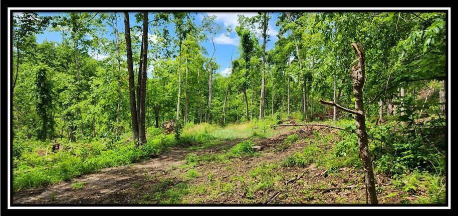 0 Featherstone Road Stewart, OH 45778 - Photo 18 of 72 image019