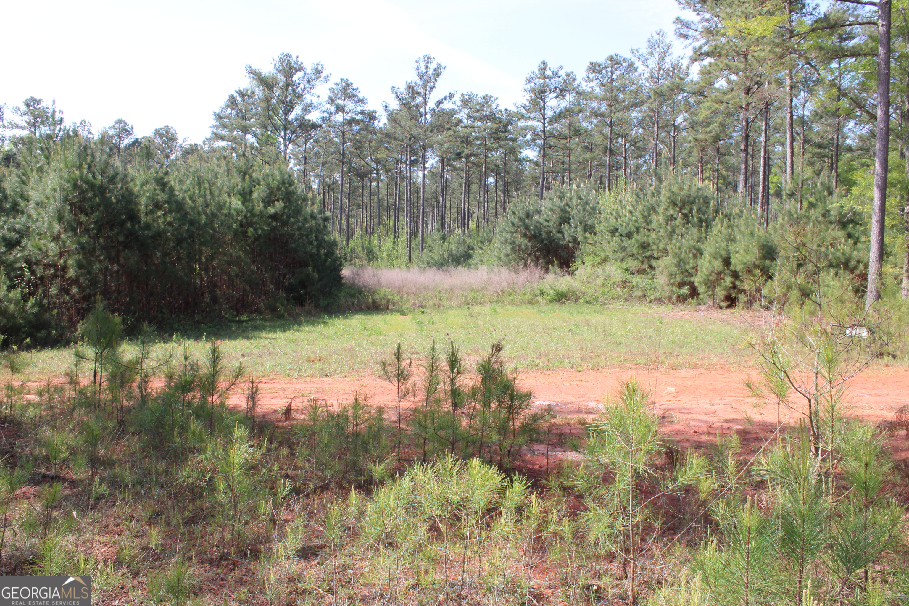 0 Ruffner Road The Rock, GA 30285 - Photo 36 of 51 a view of a lake from a yard