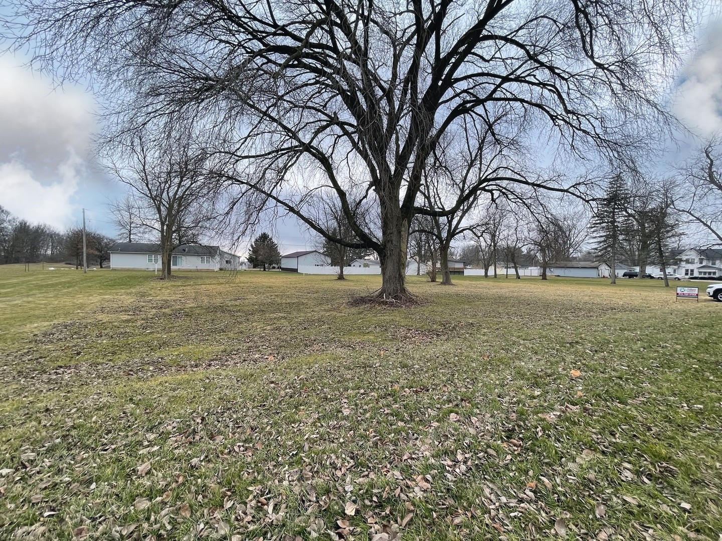 59 Main Street Saunemin, IL 61769 - Photo 2 of 4 a view of a field with tree s