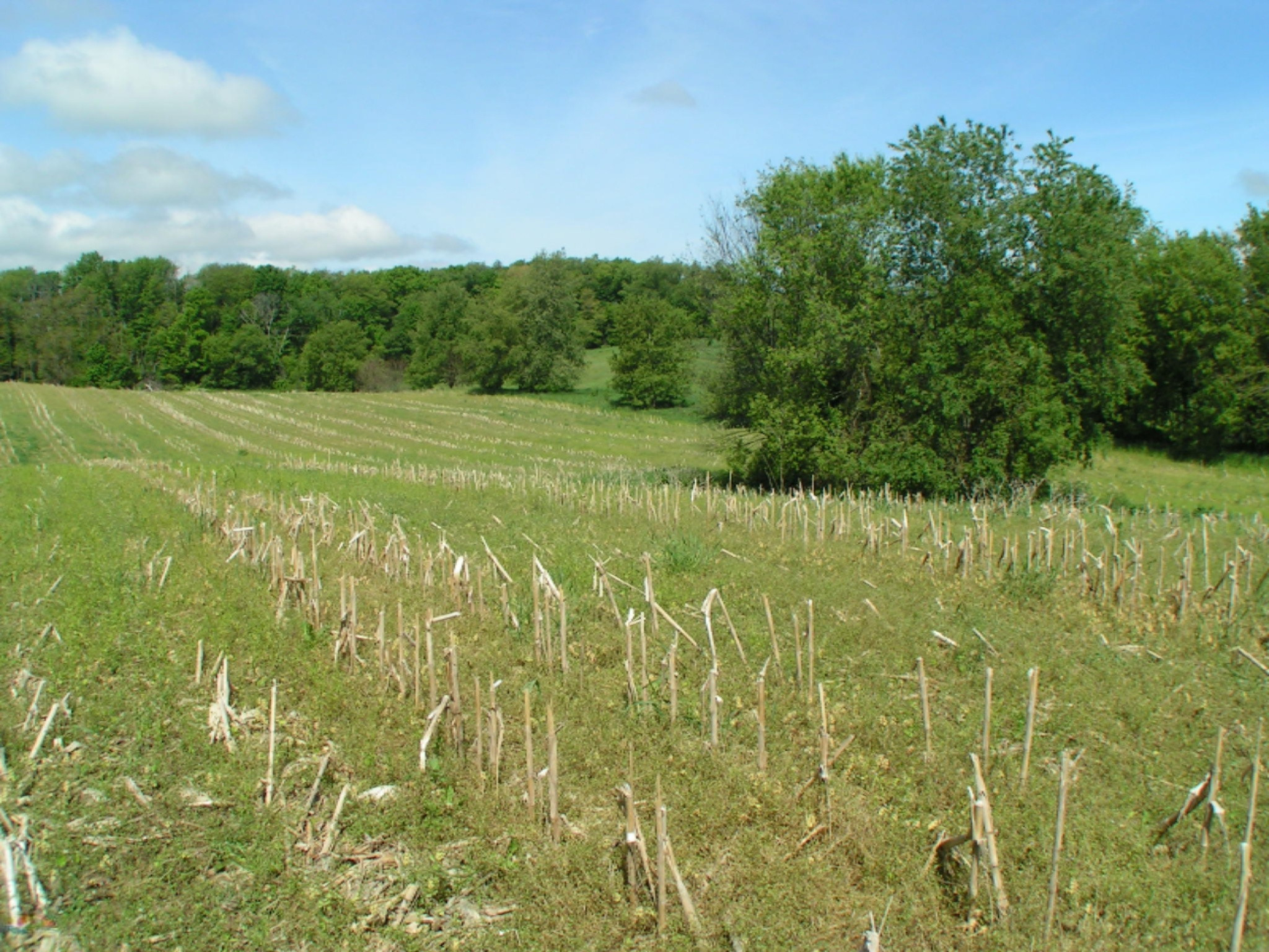 2015 Jefferson Road Ionia, MI 48846 - Photo 3 of 7 PICT0110