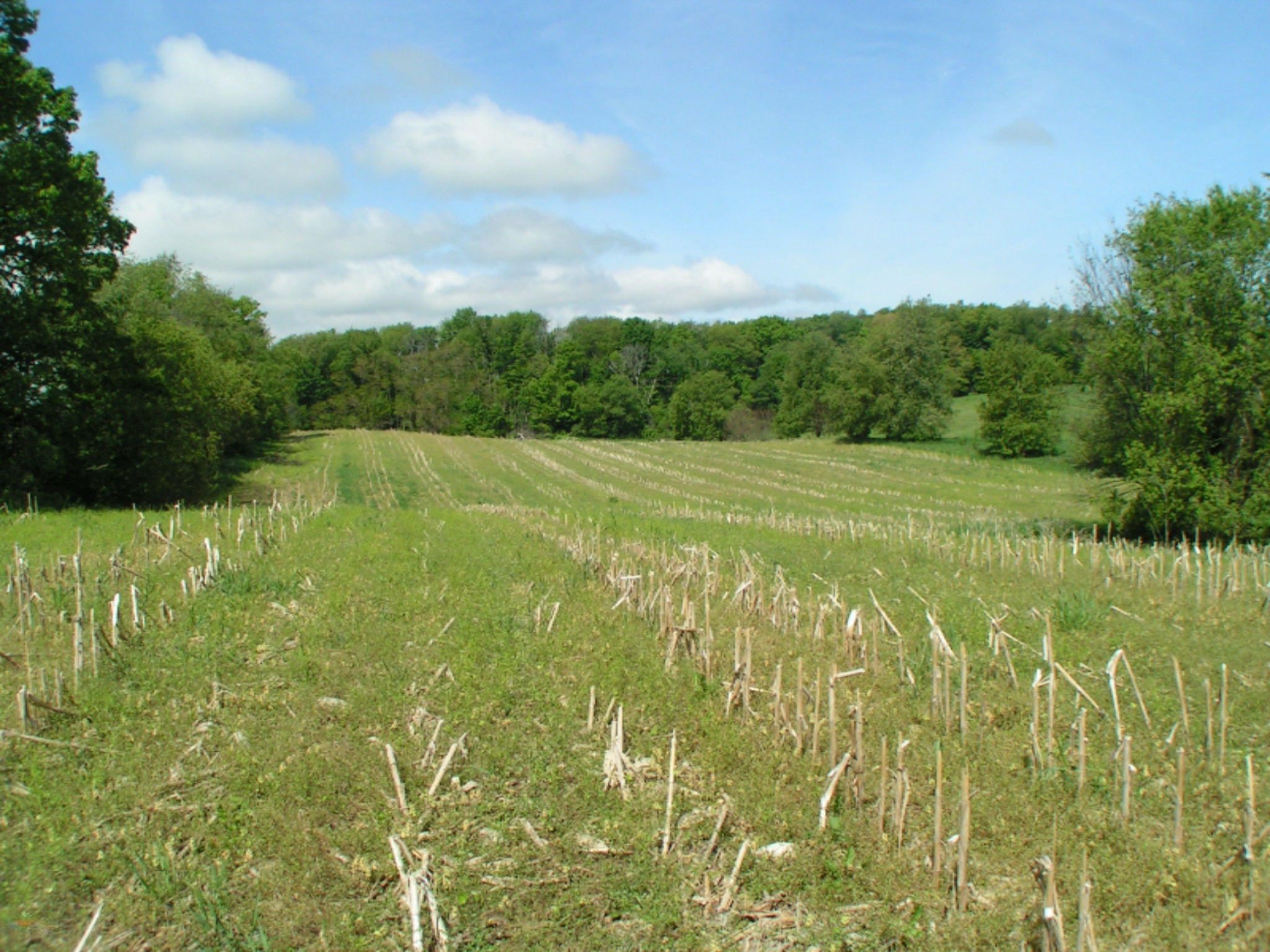 2015 Jefferson Road Ionia, MI 48846 - Photo 4 of 7 PICT0111