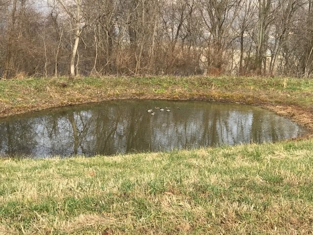 3040 Dover Minerva Road Dover, KY 41034 - Photo 1 of 30 Gallery Image 1