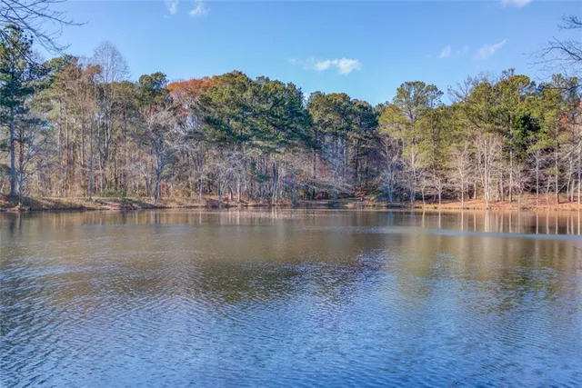 an aerial view of a fireplace with lots of trees