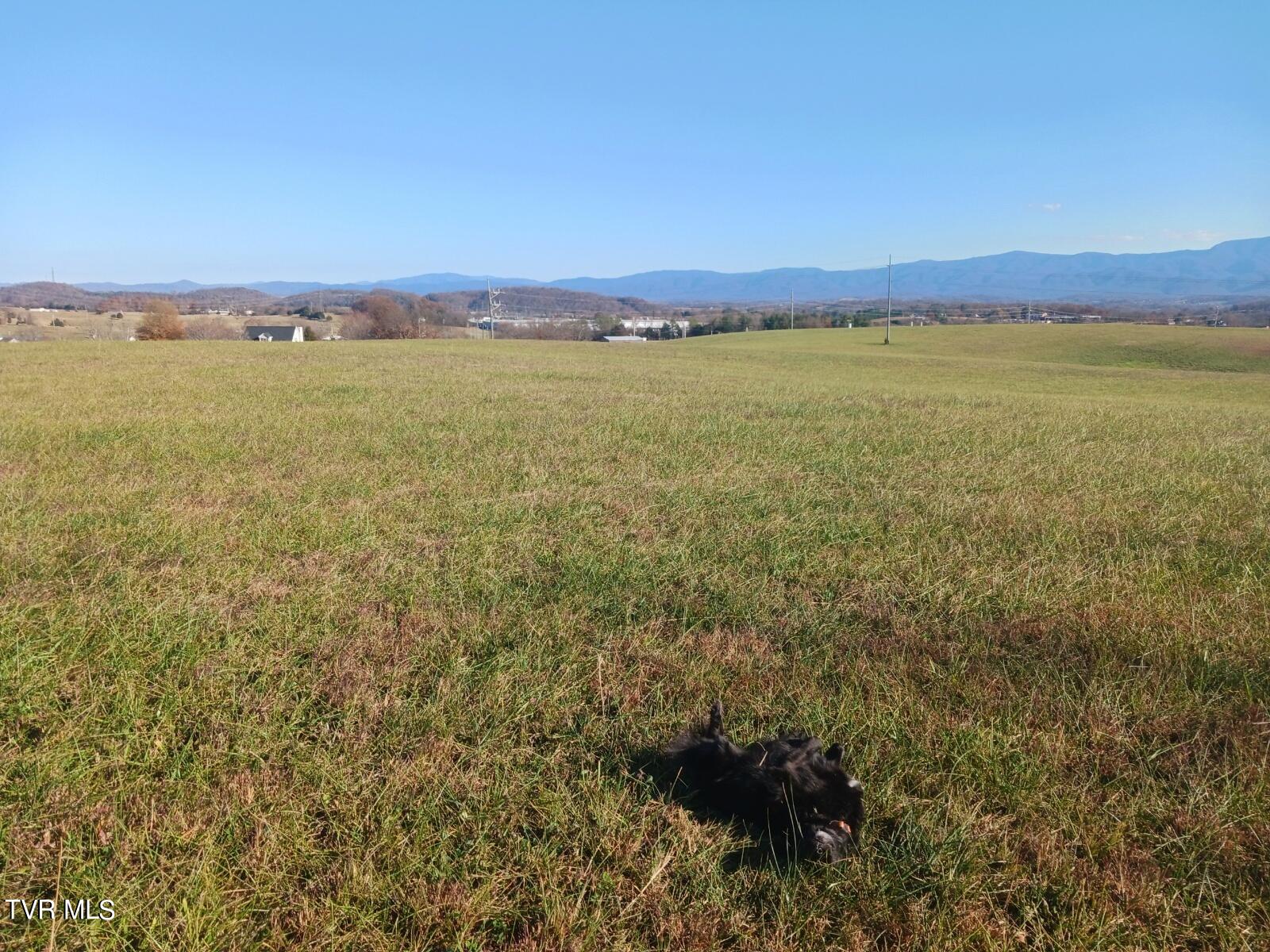 0 Old Stage Road, Unit 3 Greeneville, TN 37745 - Photo 6 of 13 Resized_Resized_20231119_144732