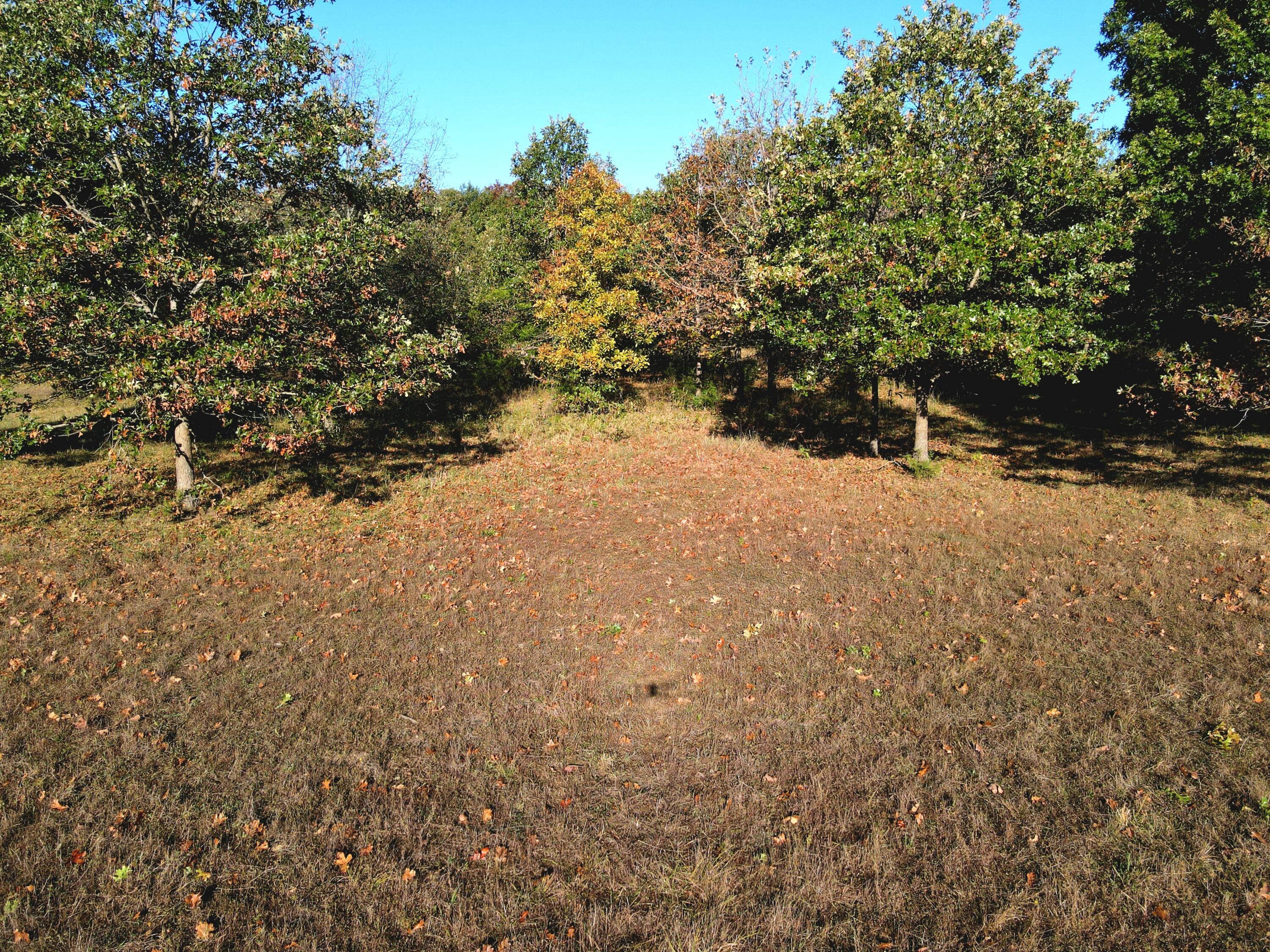 3121 South 25th Road Humansville, MO 65674 - Photo 26 of 34 dji_fly_20251022_093014_991_176114438827