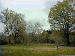 4568 Pier Road Benton Harbor, MI 49022 - Photo 1 of 1 Primary Photo