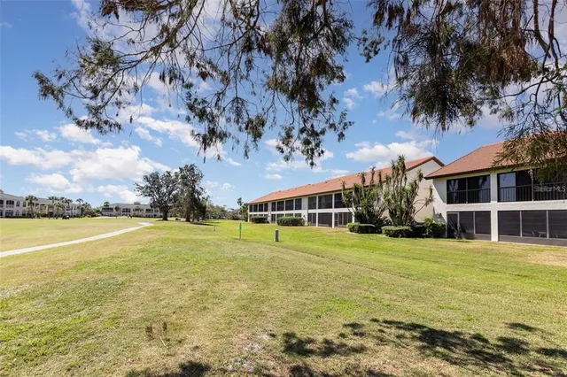 a view of a large trees with a big yard