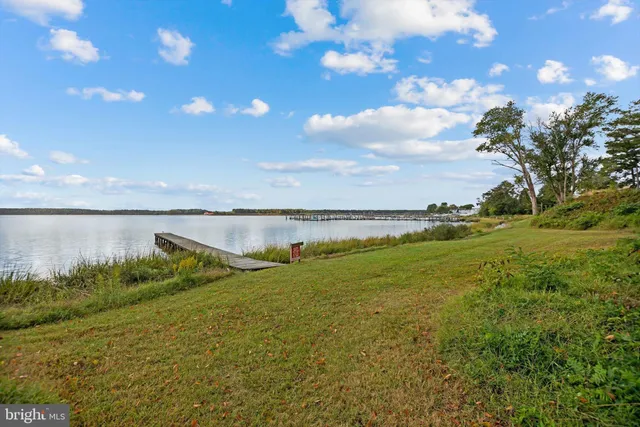 a view of outdoor space with garden and trees