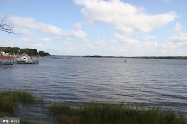 a view of swimming pool and lake