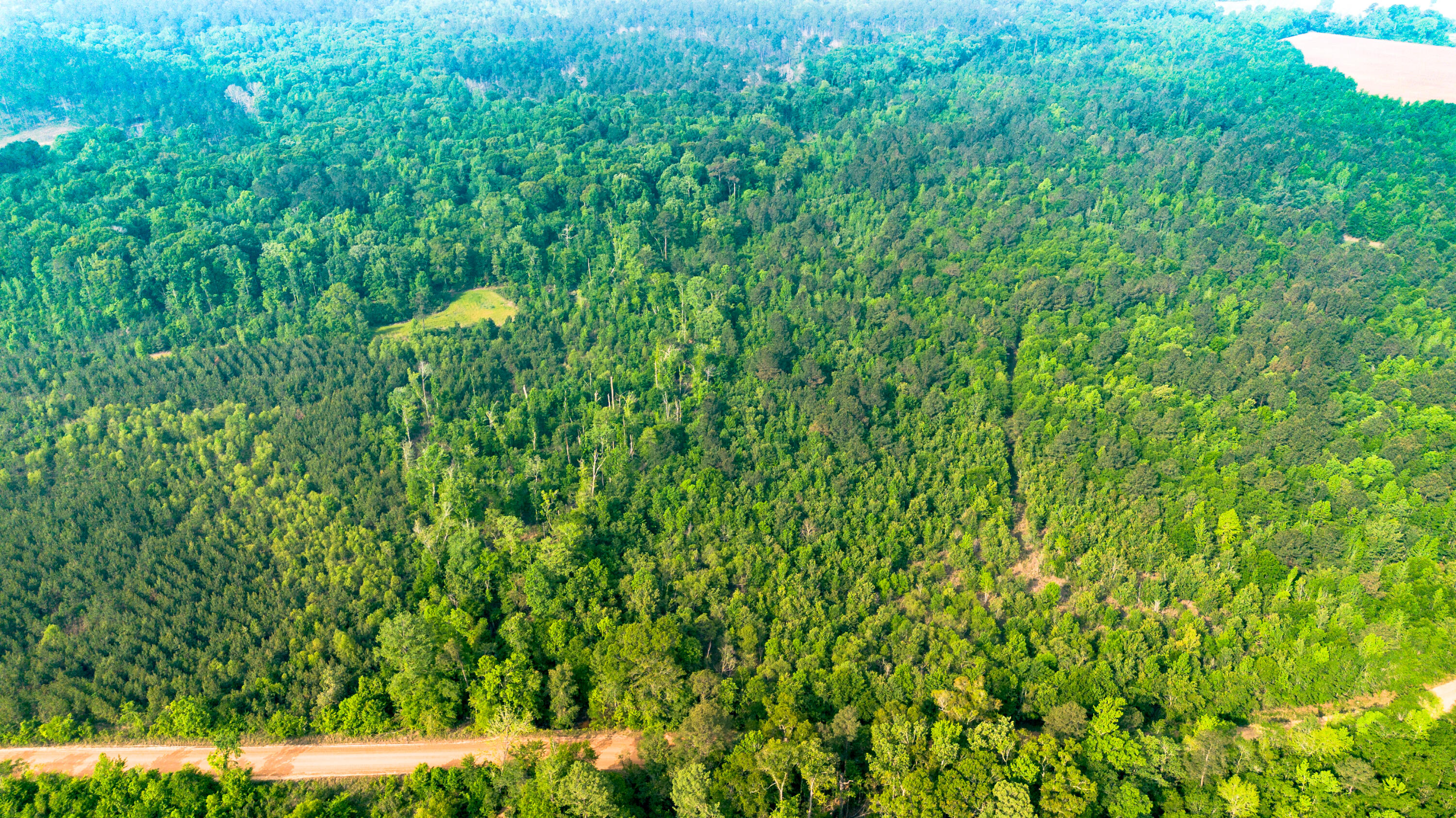 DJI_0660