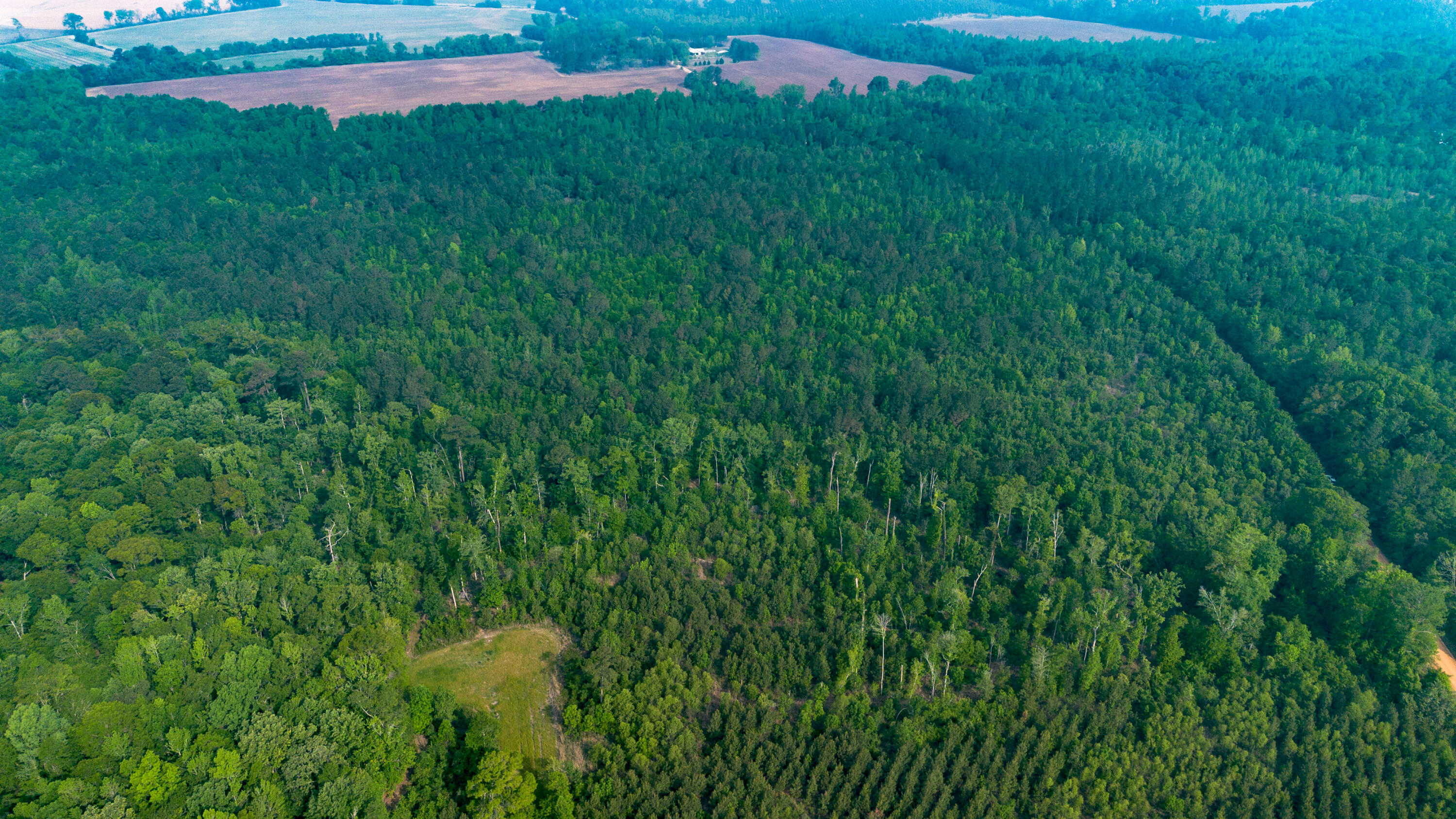 0 Fields Farm Road Millen, GA 30442 - Photo 11 of 12 DJI_0671