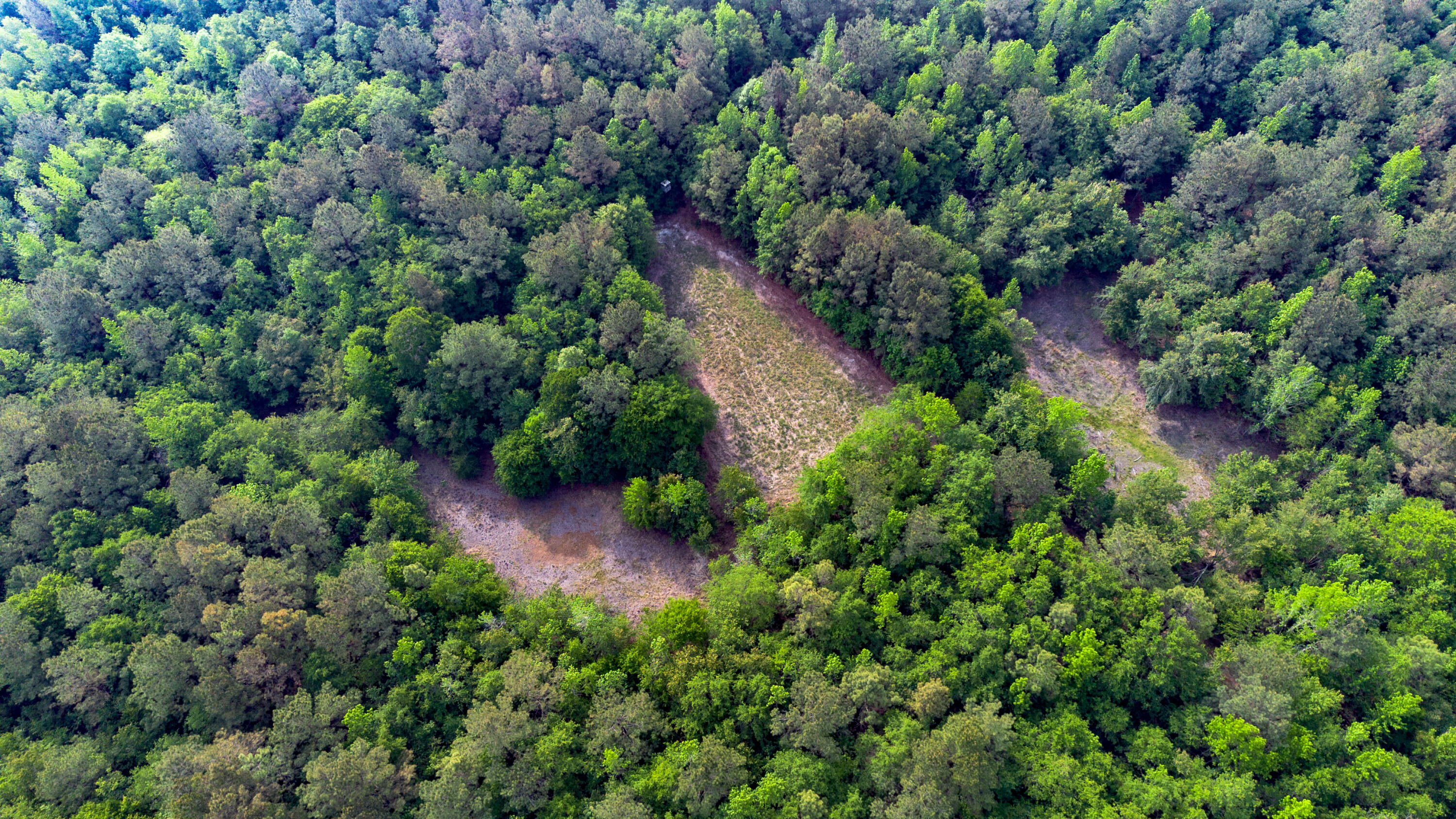 0 Fields Farm Road Millen, GA 30442 - Photo 12 of 12 DJI_0674