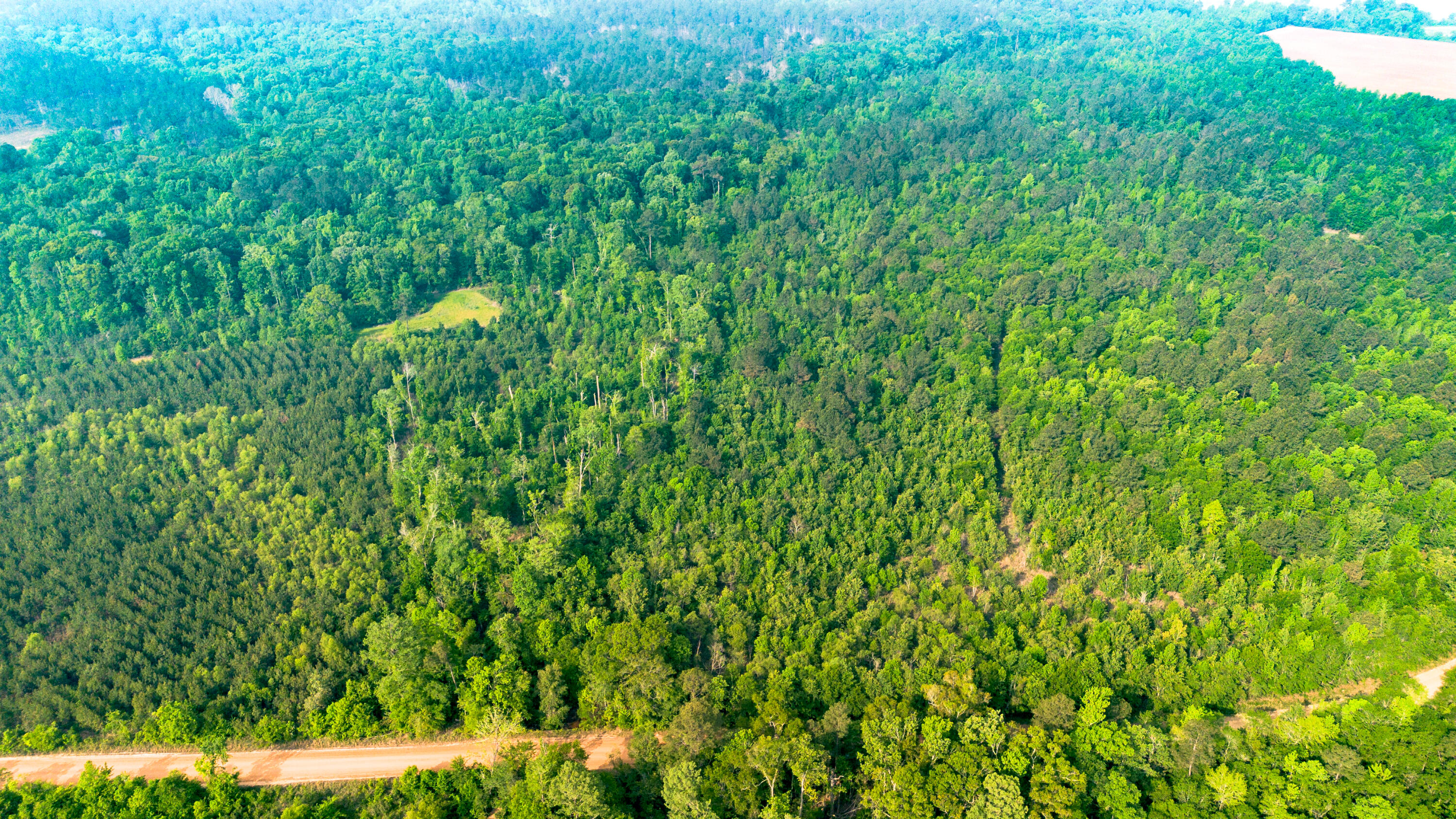 0 Fields Farm Road Millen, GA 30442 - Photo 2 of 12 DJI_0661