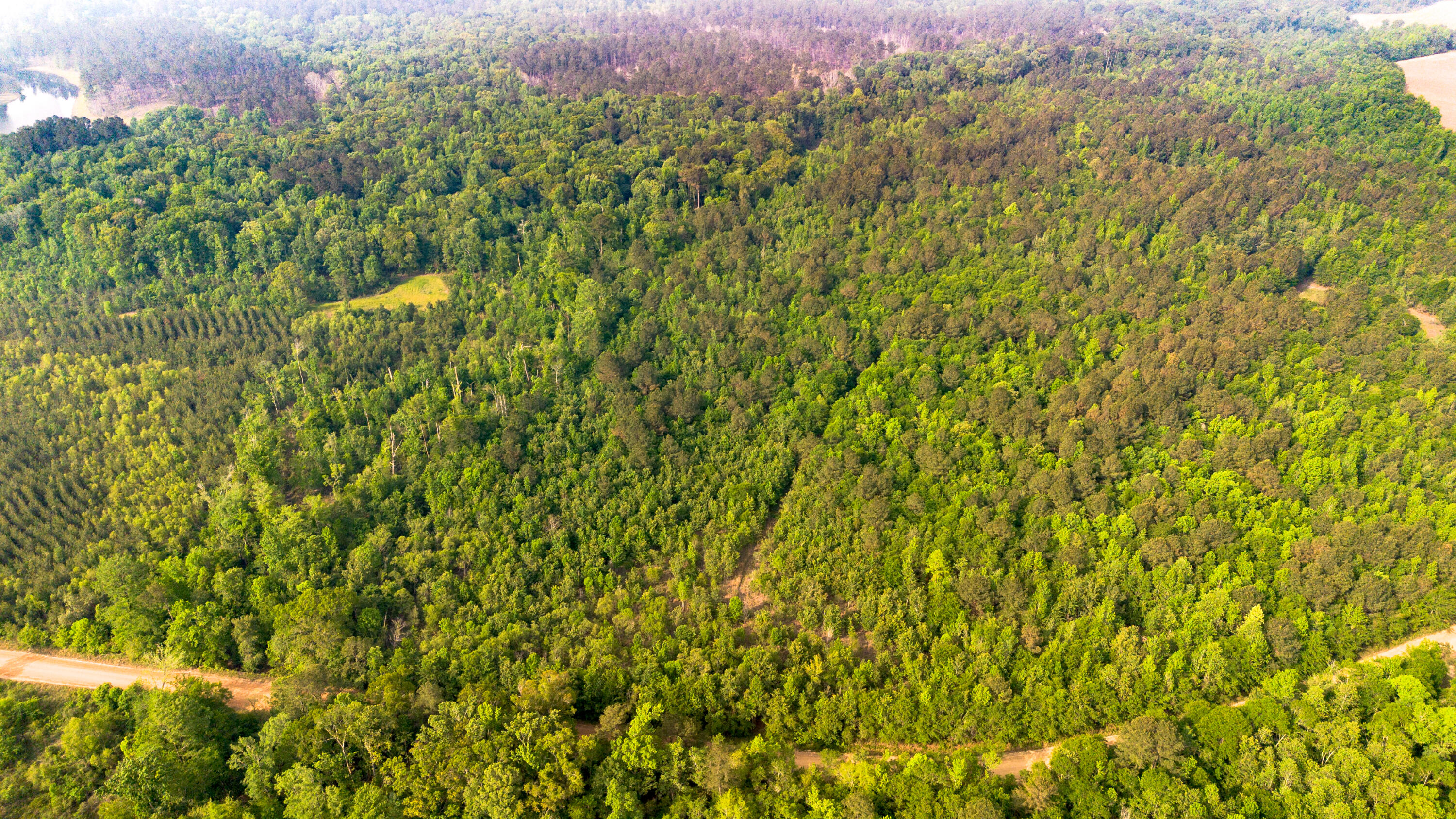 0 Fields Farm Road Millen, GA 30442 - Photo 3 of 12 DJI_0663