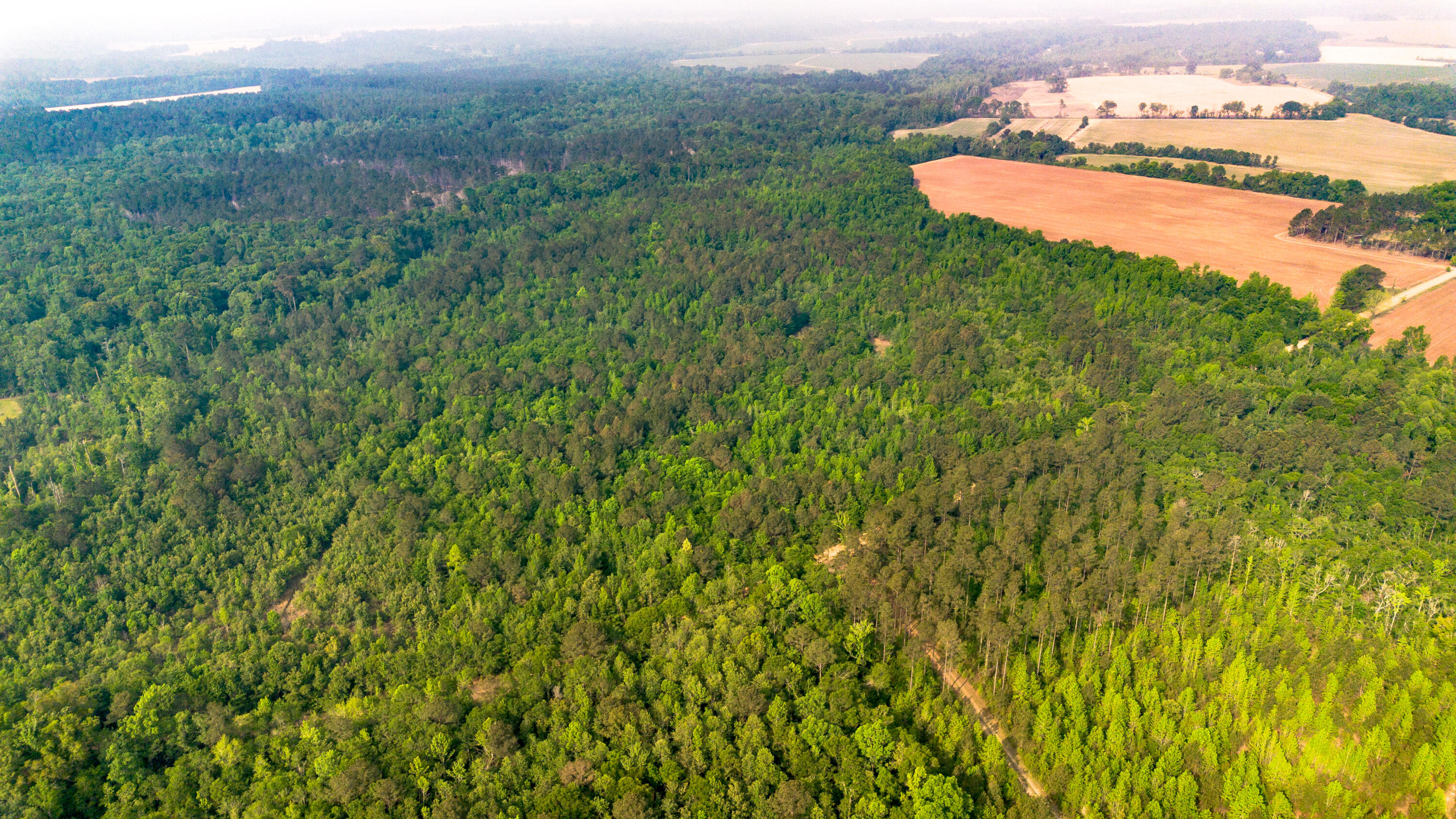 0 Fields Farm Road Millen, GA 30442 - Photo 4 of 12 DJI_0664