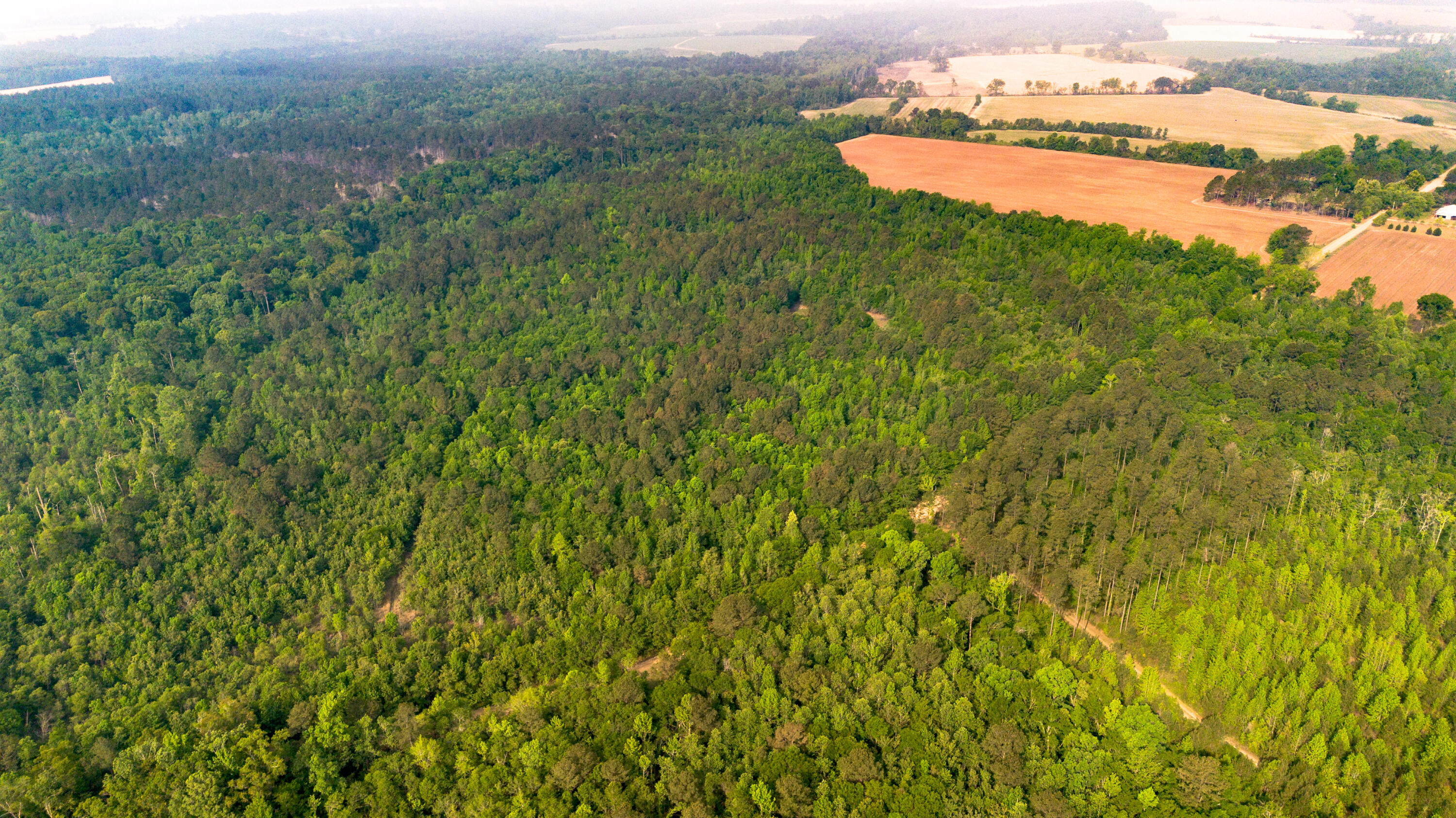 0 Fields Farm Road Millen, GA 30442 - Photo 5 of 12 DJI_0665