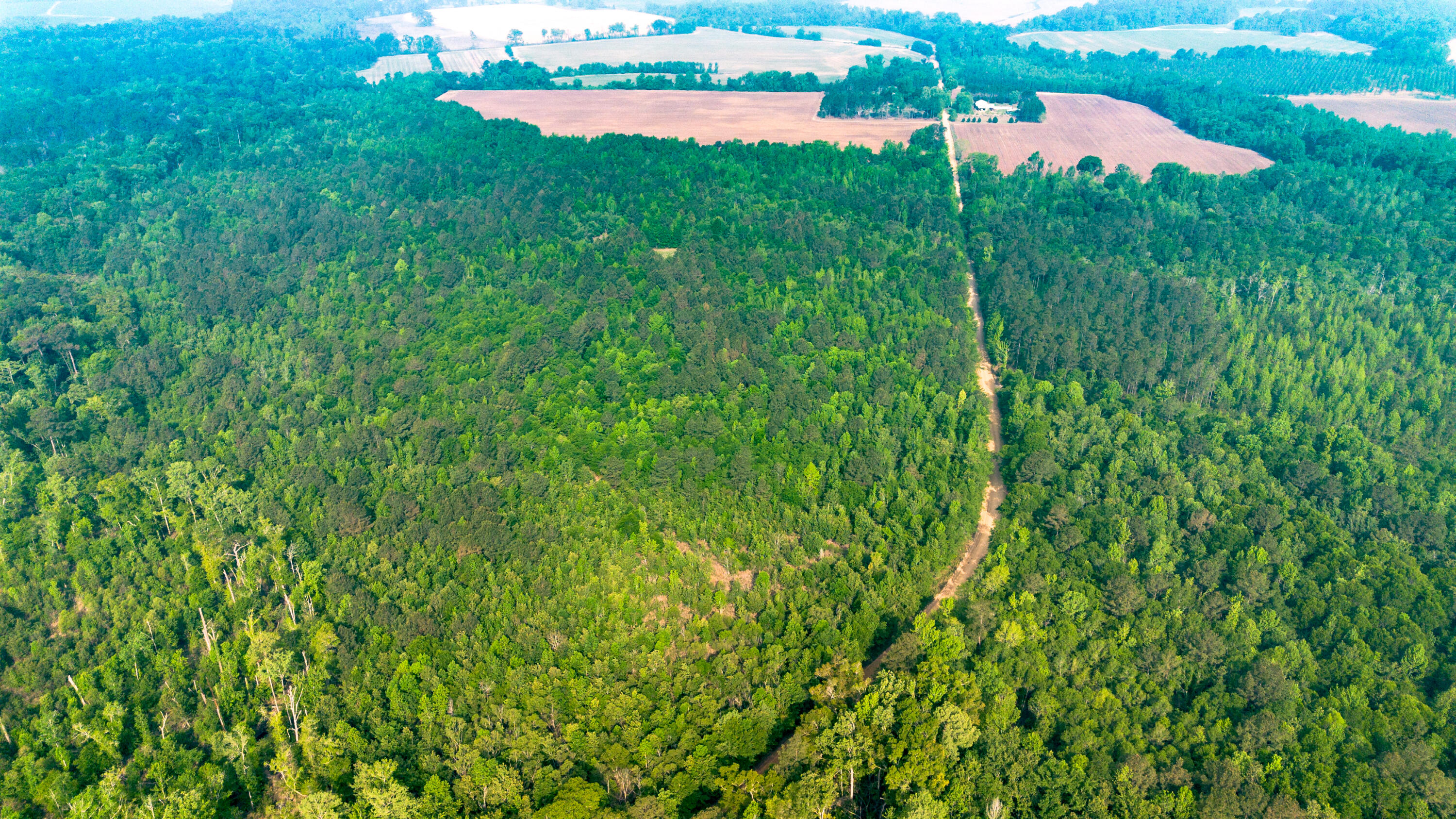 0 Fields Farm Road Millen, GA 30442 - Photo 6 of 12 DJI_0667-2