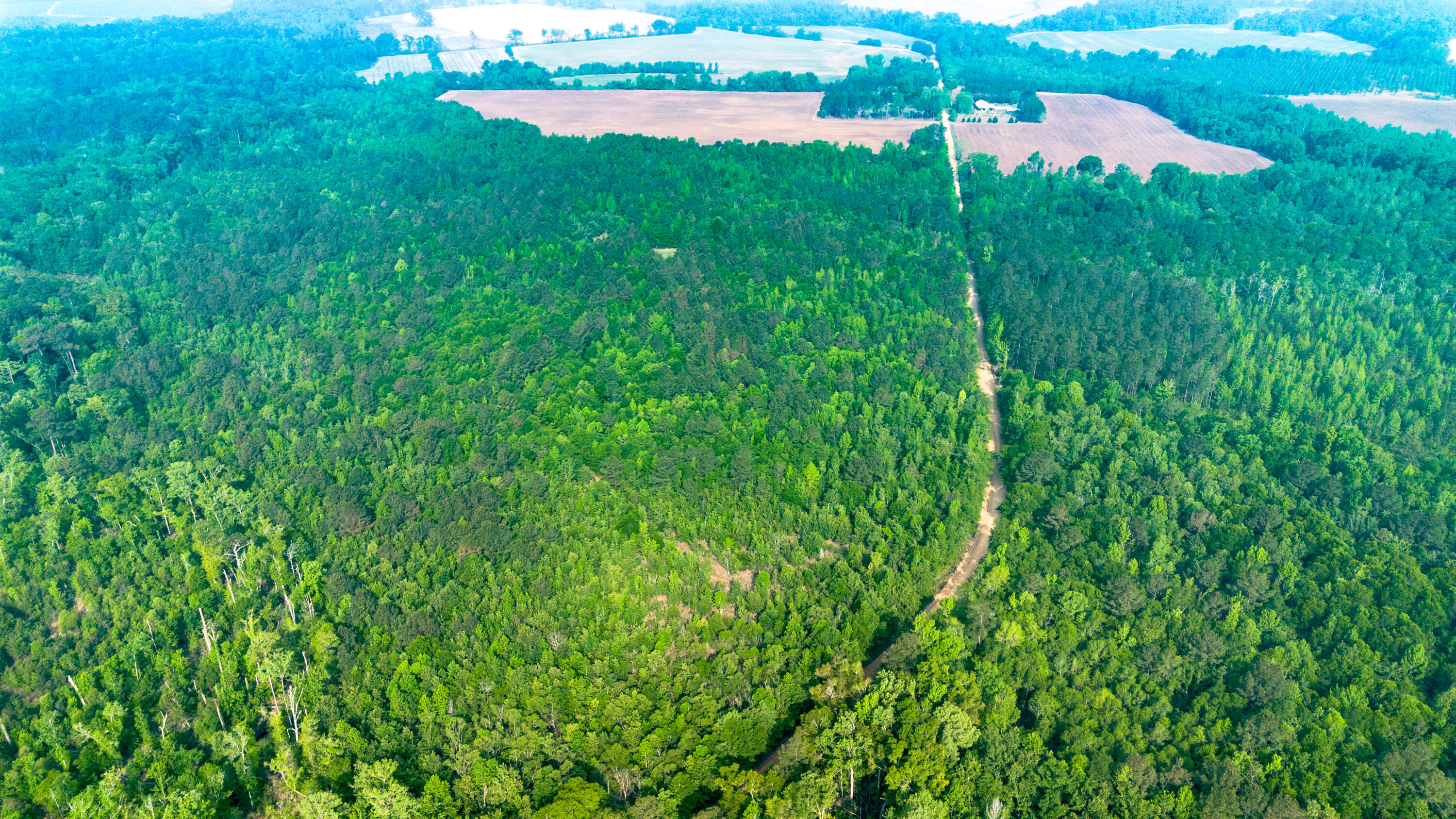 0 Fields Farm Road Millen, GA 30442 - Photo 7 of 12 DJI_0667