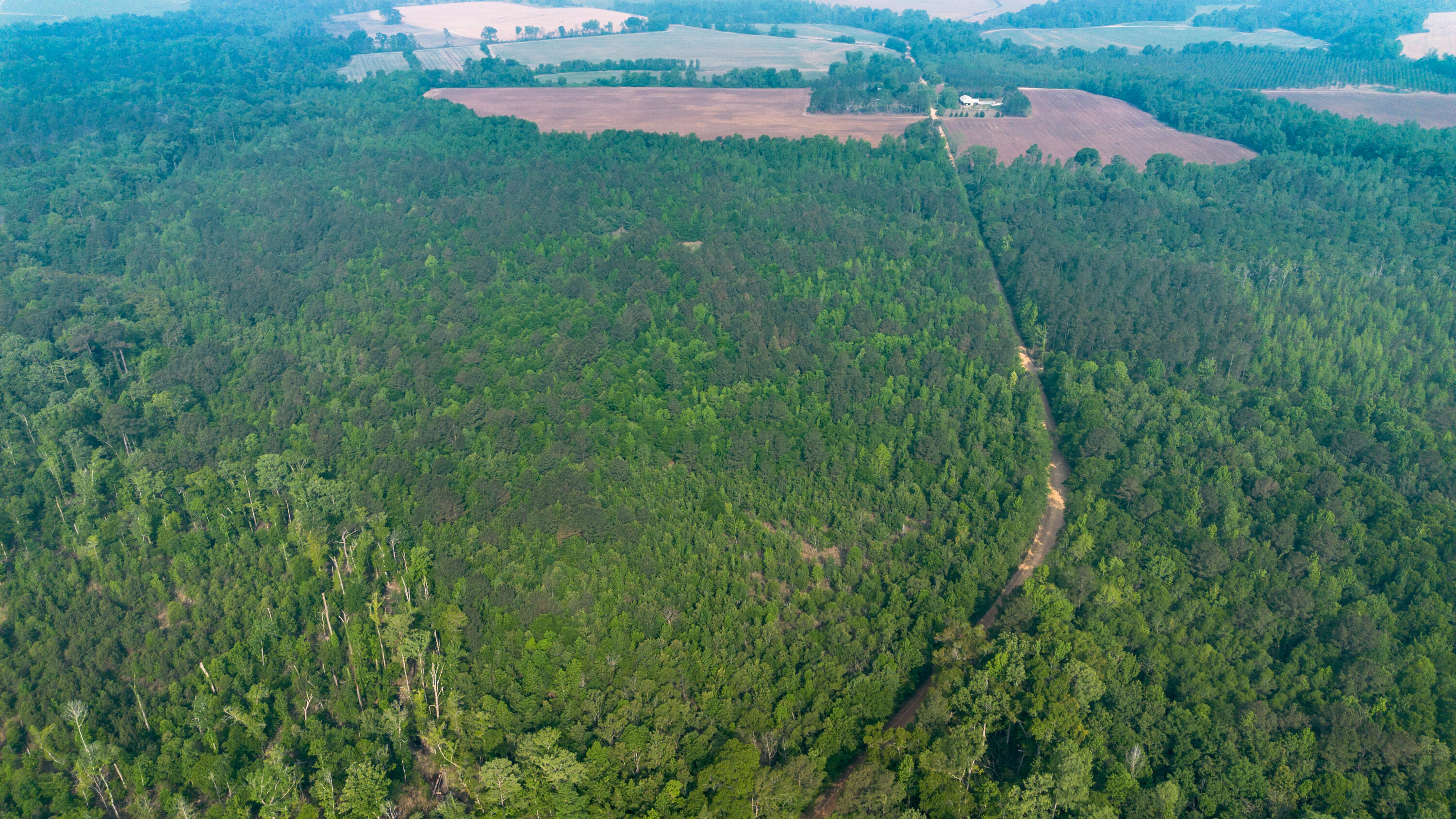 0 Fields Farm Road Millen, GA 30442 - Photo 8 of 12 DJI_0668