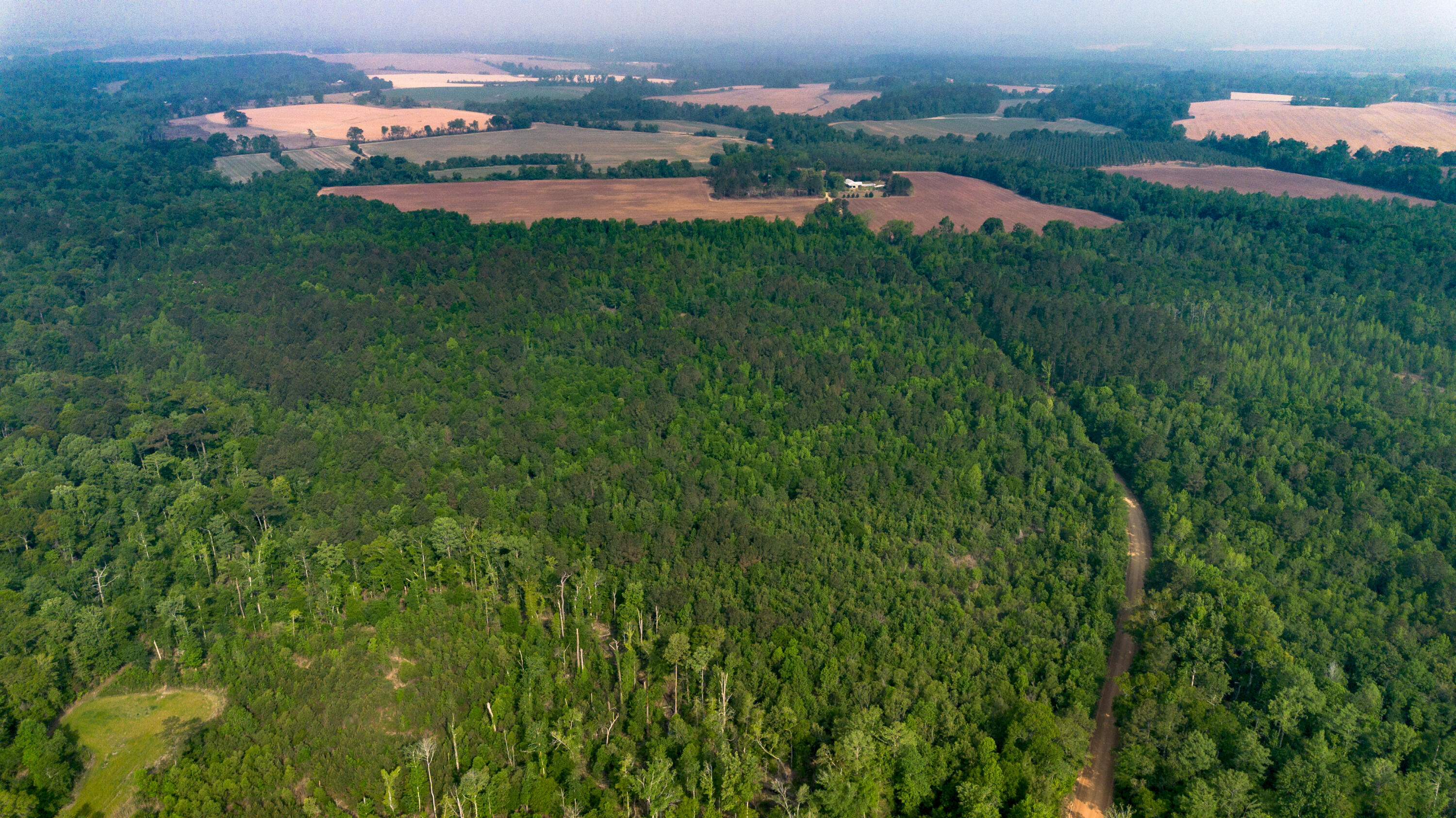 0 Fields Farm Road Millen, GA 30442 - Photo 9 of 12 DJI_0669