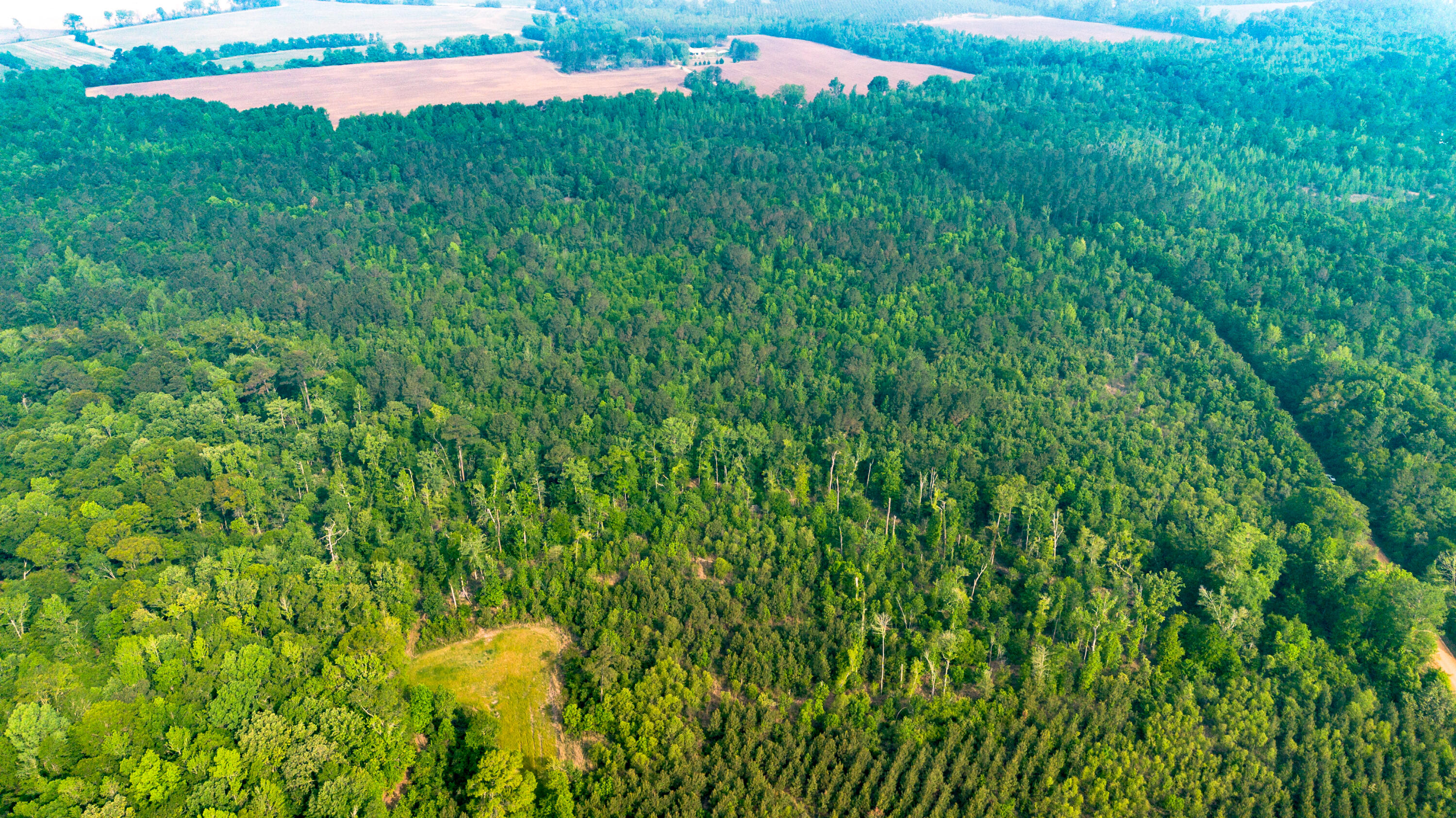0 Fields Farm Road Millen, GA 30442 - Photo 10 of 12 DJI_0671-2