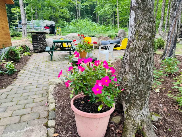 $339,000 | 27 Birch Point South, Morgan, VT 05872