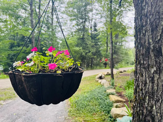 $339,000 | 27 Birch Point South, Morgan, VT 05872