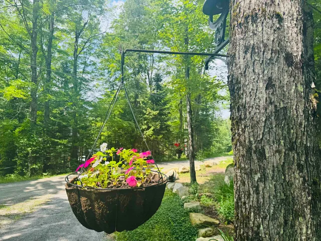 $339,000 | 27 Birch Point South, Morgan, VT 05872