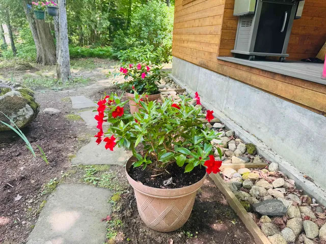 $339,000 | 27 Birch Point South, Morgan, VT 05872