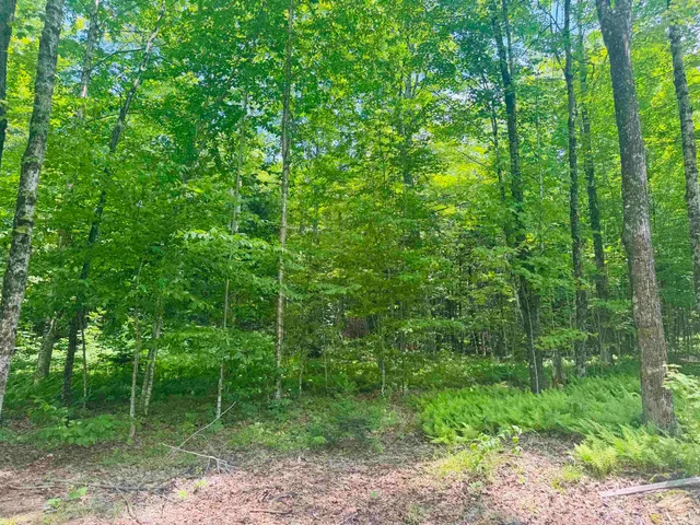 $339,000 | 27 Birch Point South, Morgan, VT 05872