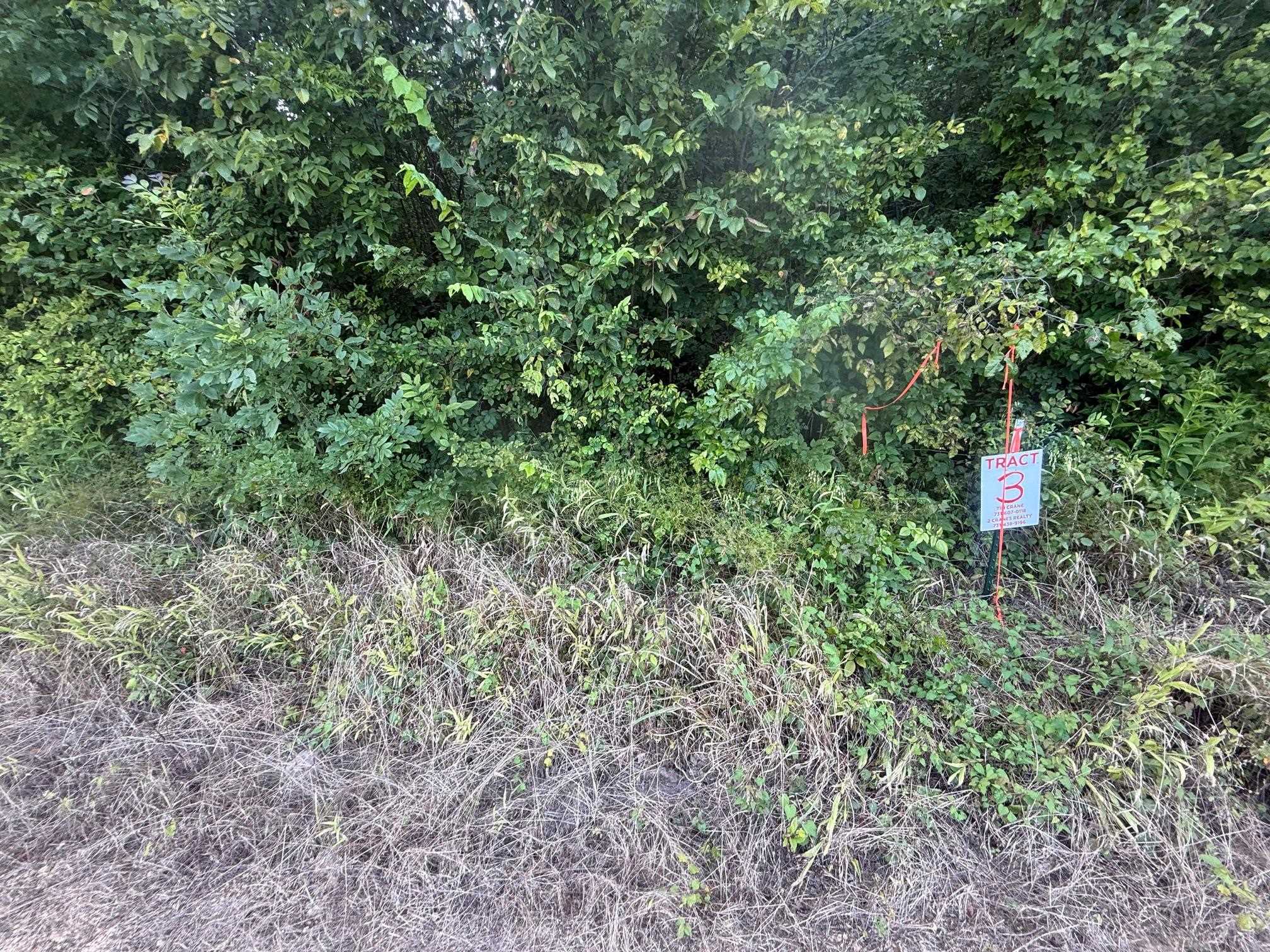 3 Coffee Landing Road Savannah, TN 38372 - Photo 11 of 14 Exterior view